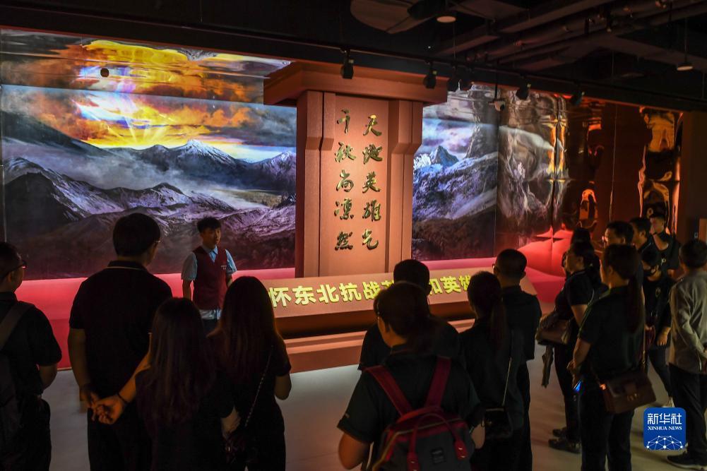 双色球走势图带连线